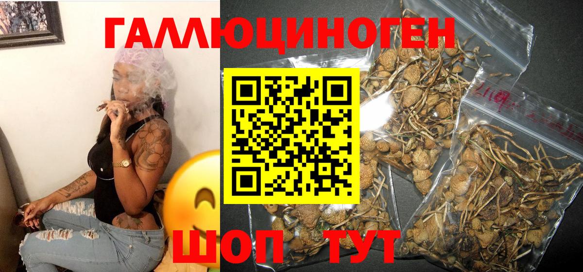 Галлюциногенные грибы Magic Shrooms Вышний Волочёк